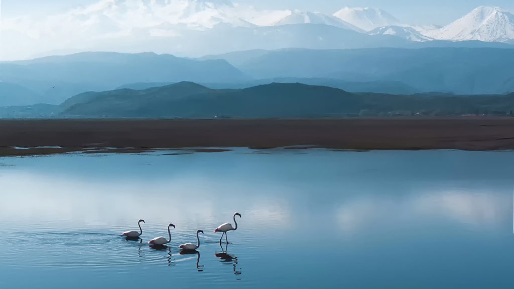Kadın Gözüyle Hayattan Kareler.