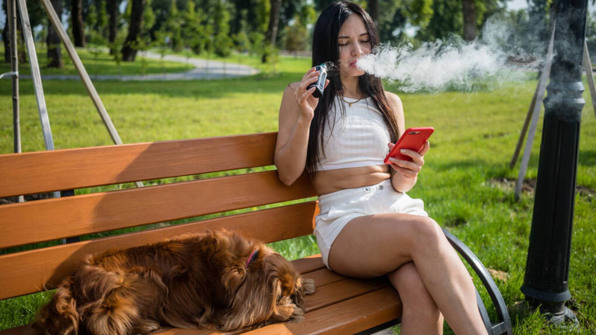 elektronik sigara (1)